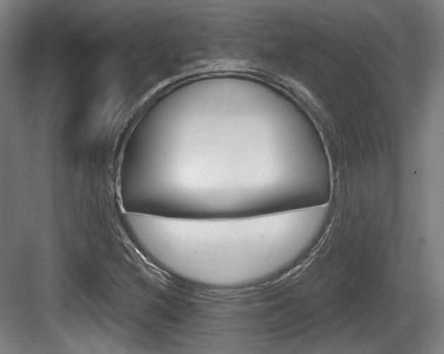 X0000084041212200702160844