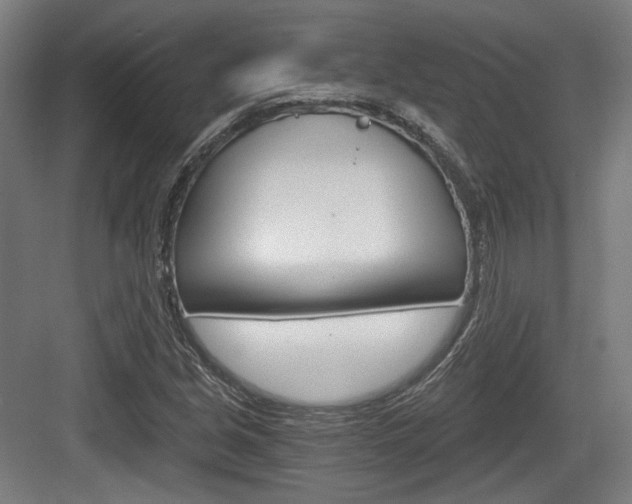 X0000084041213200702160844