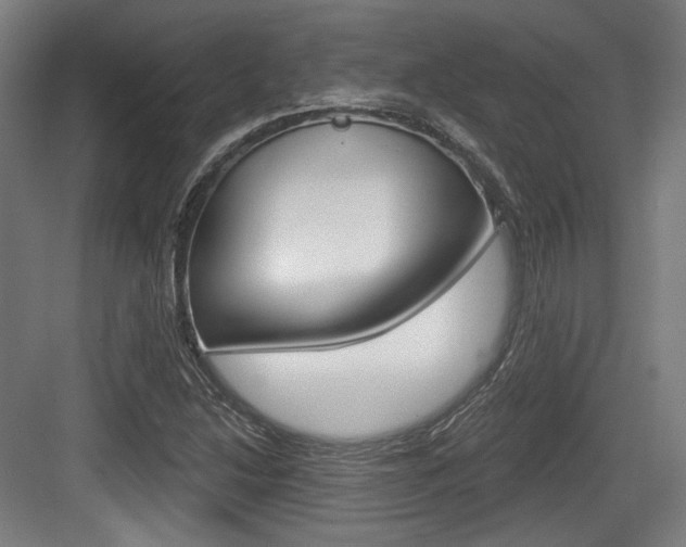 X0000084041214200702160844