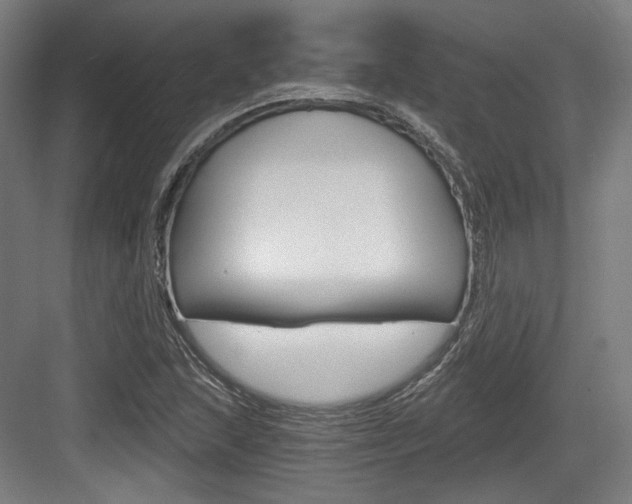 X0000084041215200702160844
