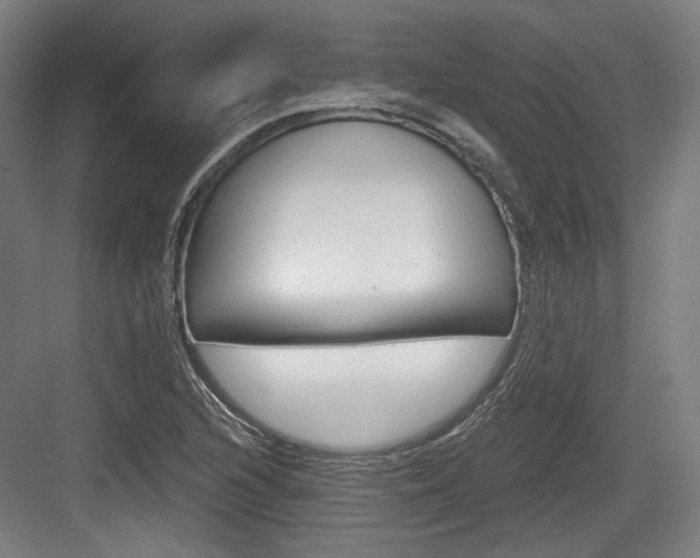 X0000084041216200702160845