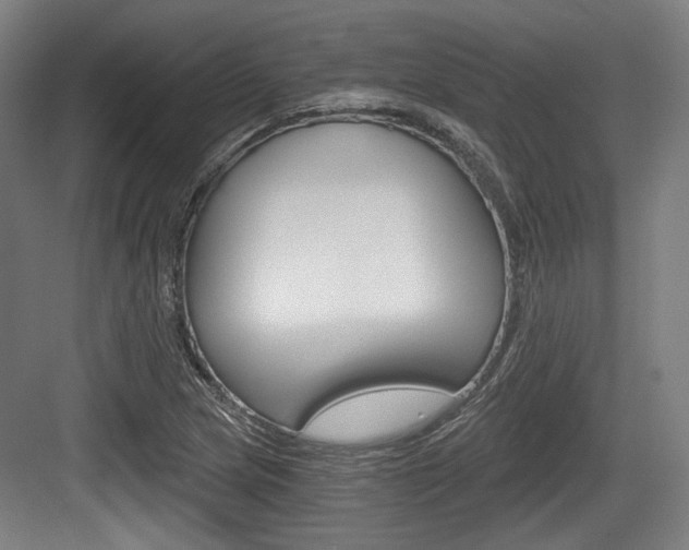 X0000084041217200702160845