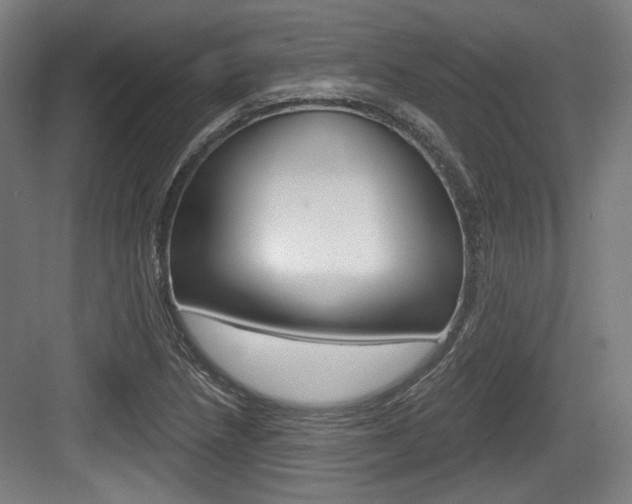 X0000084041218200702160845