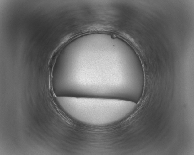 X0000084041219200702160845