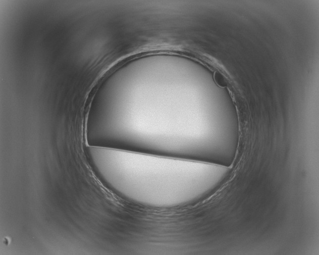 X0000084041220200702160845
