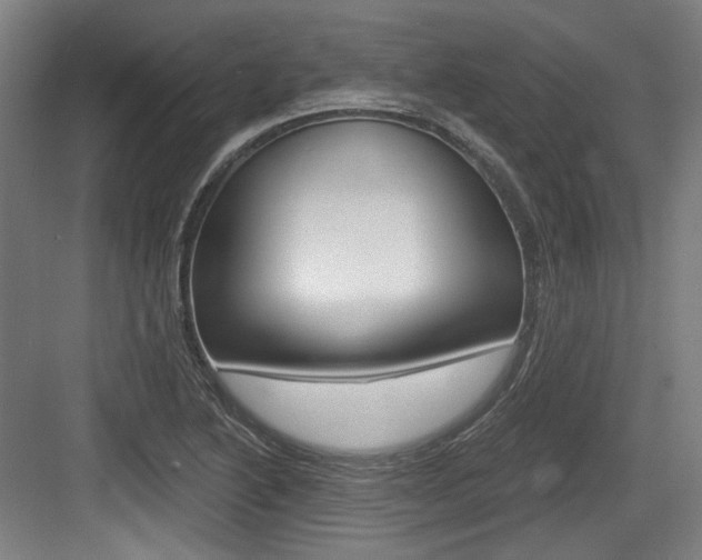 X0000084041222200702160845