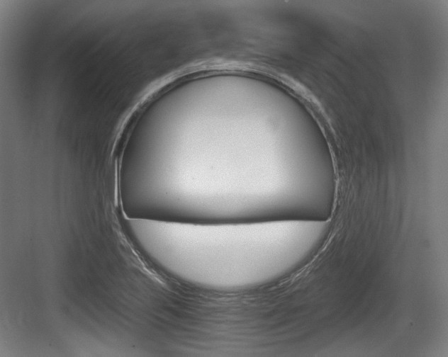 X0000084041223200702160845