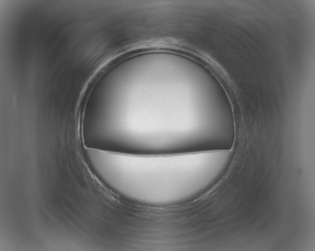 X0000084041224200702160845