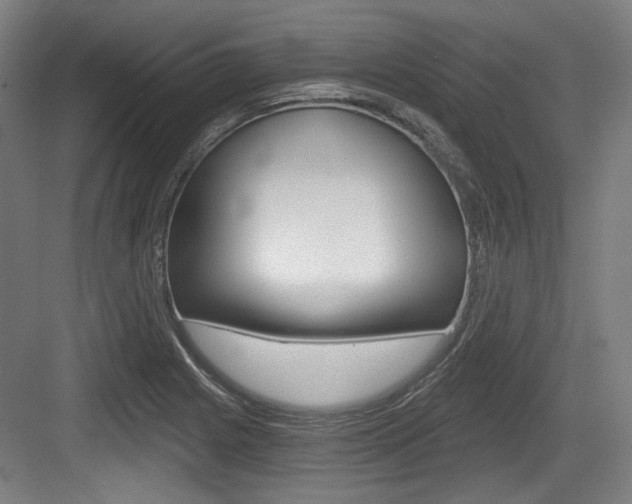 X0000084041225200702160845