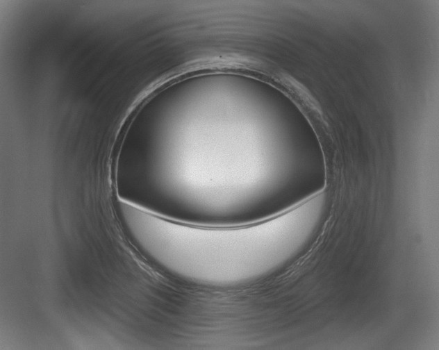 X0000084041226200702160845