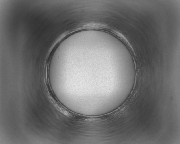 X0000084041227200702160845
