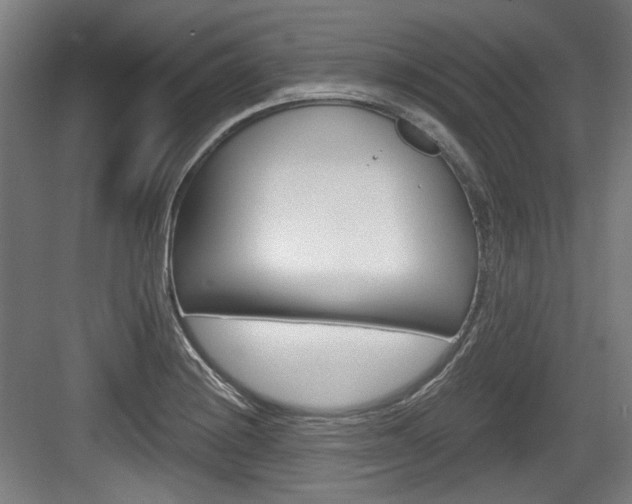 X0000084041228200702160845