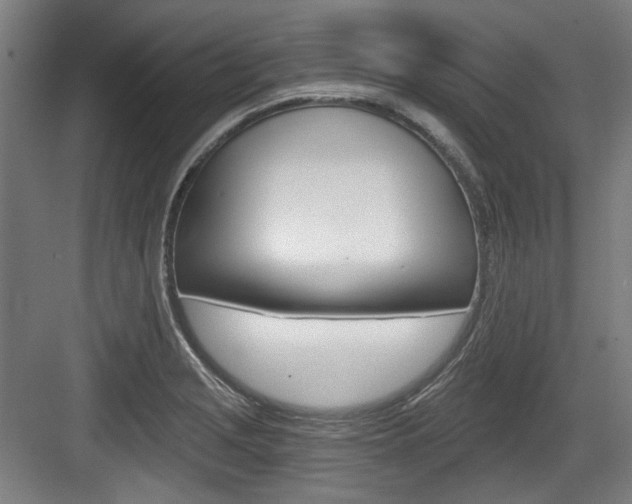 X0000084041229200702160845