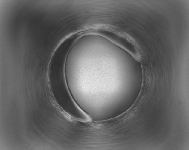 X0000084041230200702160845