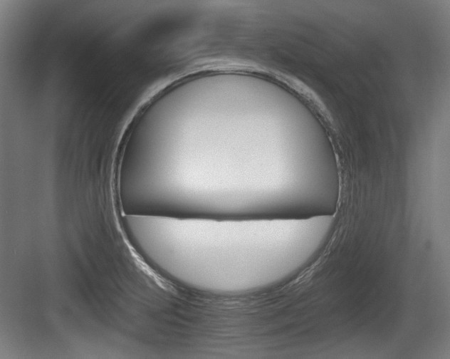 X0000084041231200702160845