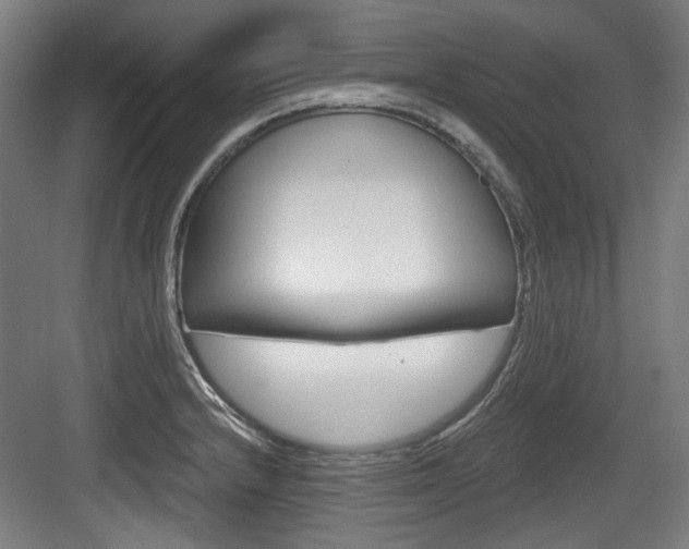 X0000084041232200702160845