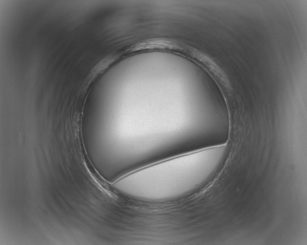 X0000084041233200702160845
