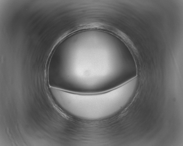 X0000084041234200702160845