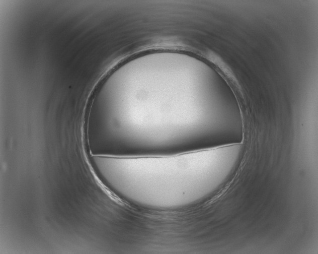 X0000084041237200702160845
