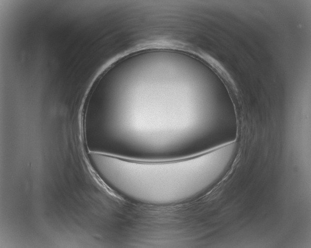 X0000084041238200702160845