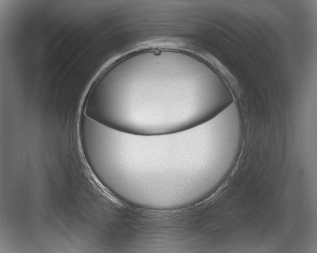 X0000084041240200702160845