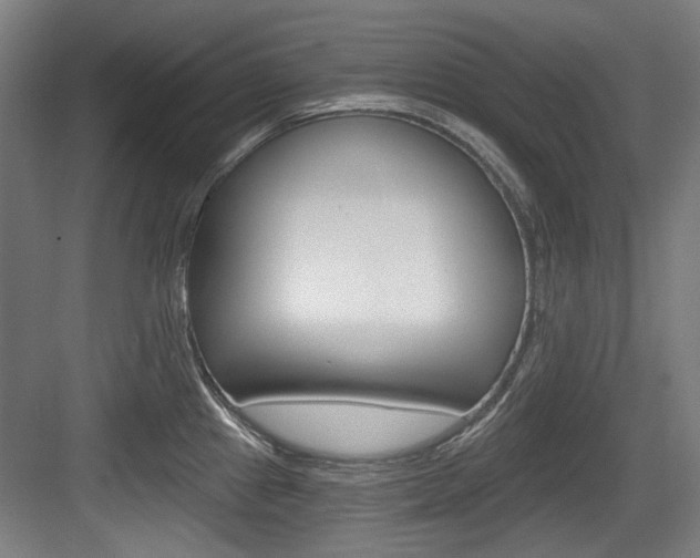 X0000084041241200702160845