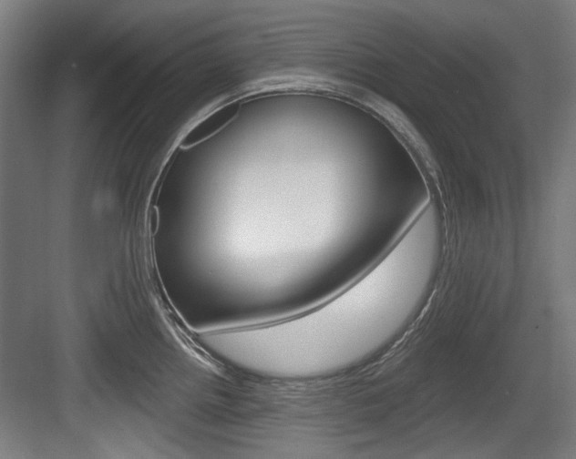 X0000084041242200702160845