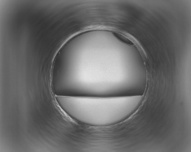 X0000084041244200702160845