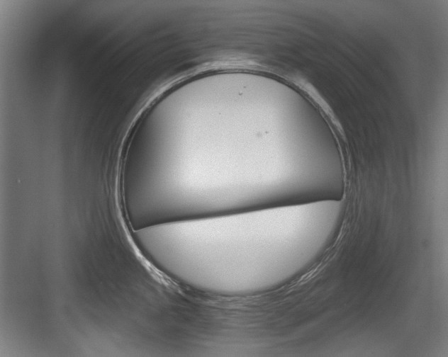 X0000084041245200702160845