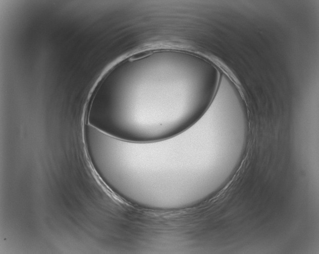 X0000084041246200702160845
