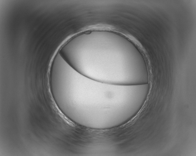 X0000084041248200702160845