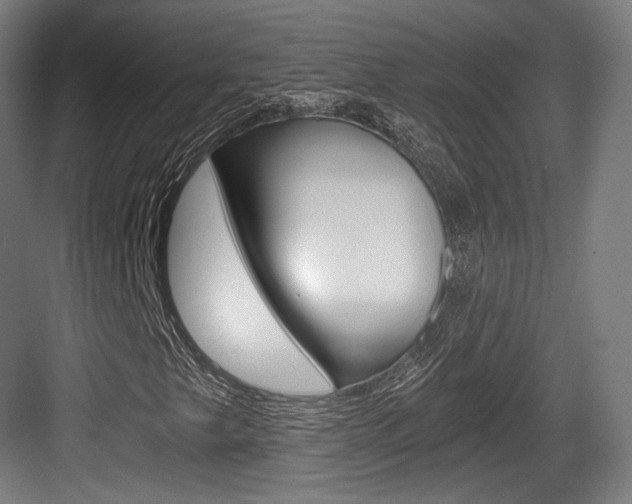 X0000084041249200702160844