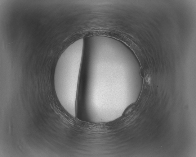 X0000084041252200702160844