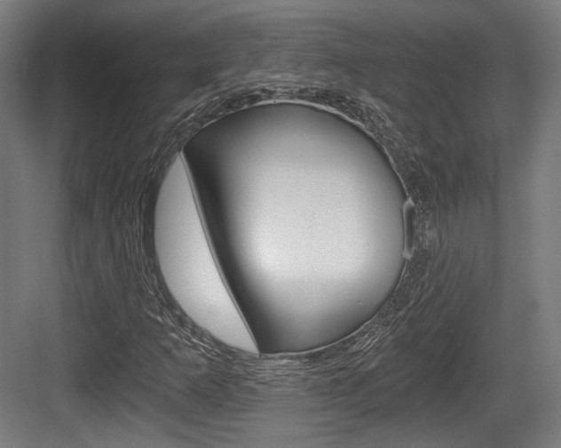 X0000084041253200702160844