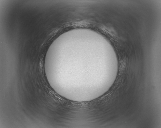 X0000084041254200702160844