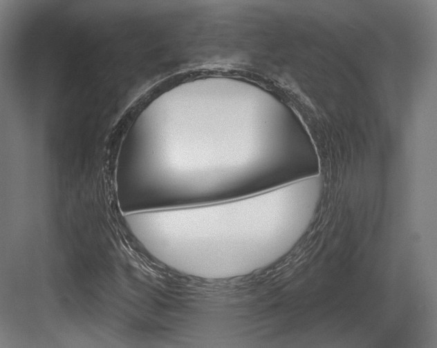 X0000084041256200702160844
