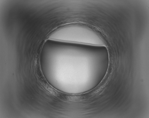 X0000084041257200702160844