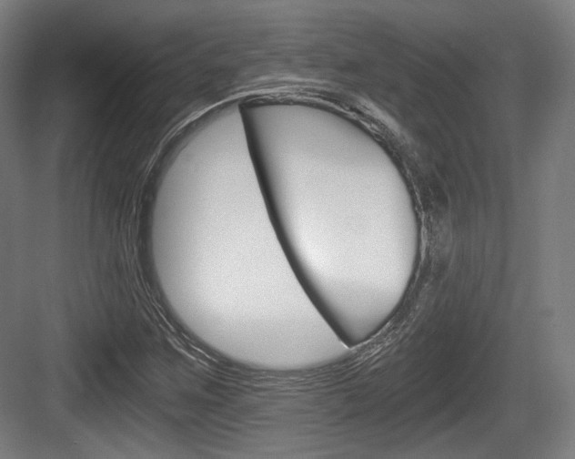 X0000084041259200702160844