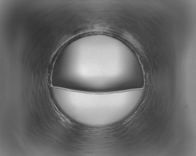 X0000084041260200702160844