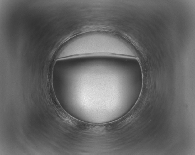 X0000084041261200702160844