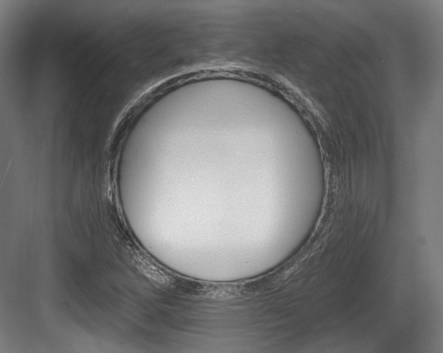X0000084041262200702160844