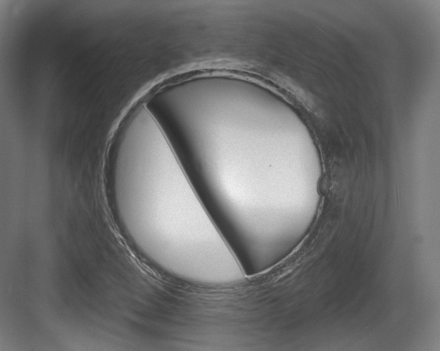 X0000084041264200702160844