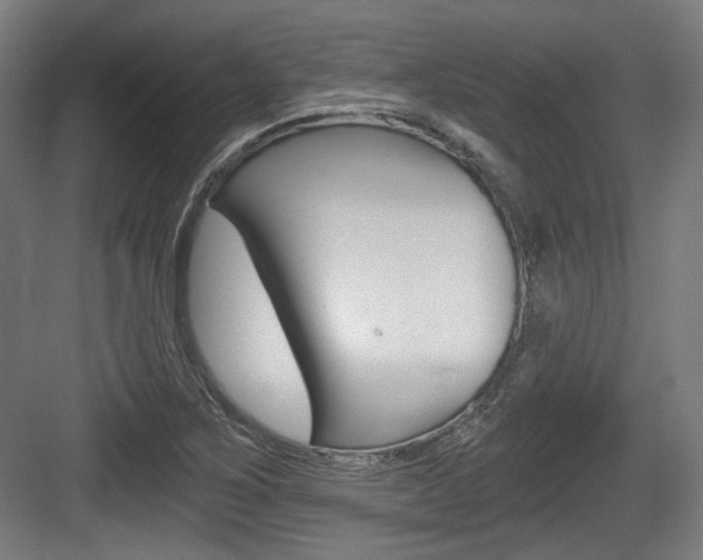 X0000084041267200702160844