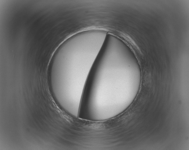 X0000084041268200702160844