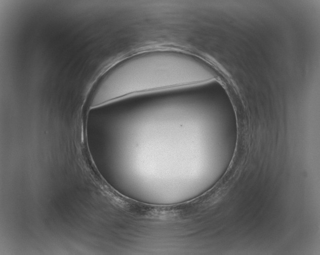 X0000084041269200702160844