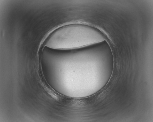 X0000084041270200702160844