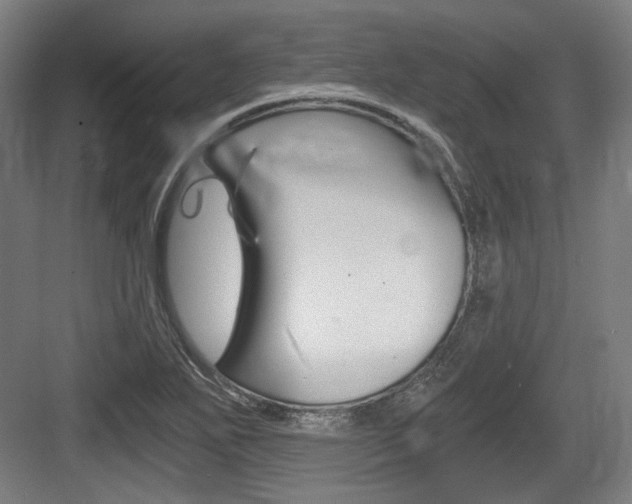X0000084041271200702160844