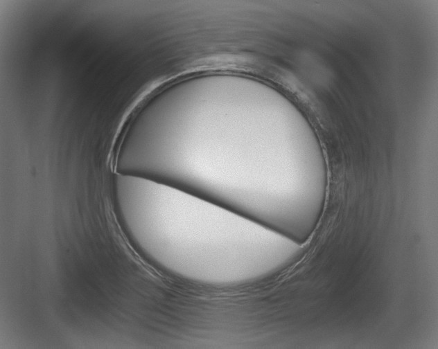 X0000084041275200702160844
