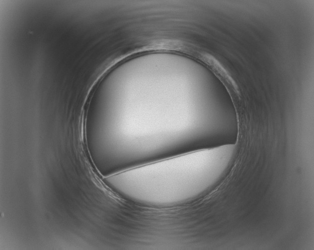 X0000084041276200702160844