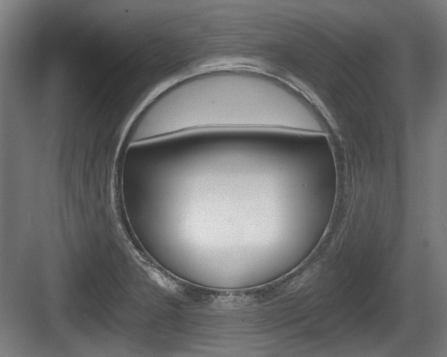 X0000084041277200702160844